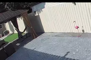 4061 W 58th St, Chicago, IL 60629 - Photo 14