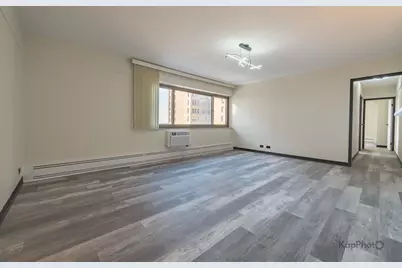 7337 S South Shore Drive #902, Chicago, IL 60649 - Photo 4