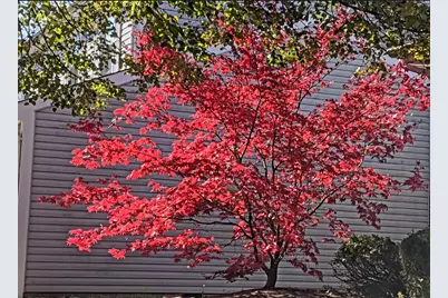 1380 Larchmont Drive, Buffalo Grove, IL 60089 - Photo 28