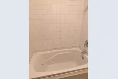 4615 S Michigan Avenue #2S, Chicago, IL 60653 - Photo 14