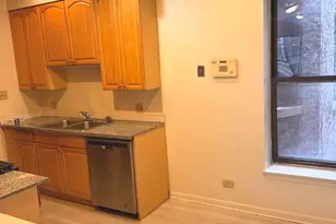 4615 S Michigan Ave, Chicago, IL 60653 - Photo 8