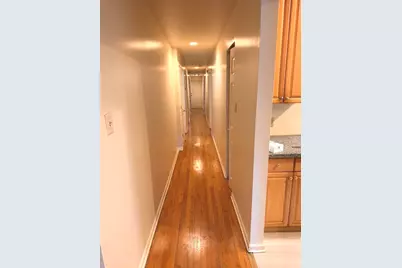 4615 S Michigan Avenue #2S, Chicago, IL 60653 - Photo 20