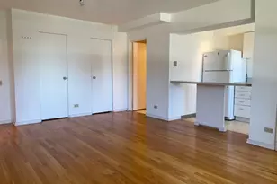 40 E 9th St, Chicago, IL 60605 - Photo 6