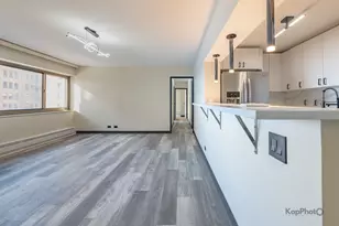 7337 S South Shore Dr, Chicago, IL 60649 - Photo 8