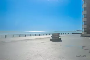 7337 S South Shore Dr, Chicago, IL 60649 - Photo 32