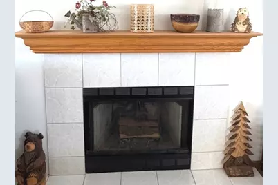 25731 S Hoover Street, Monee, IL 60449 - Photo 6