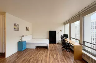 1450 E 55th Pl, Chicago, IL 60637 - Photo 4