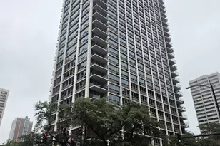 88 W Schiller St, Chicago, IL 60610 - Photo 16