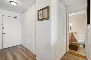 88 W Schiller St, Chicago, IL 60610 - Photo 6
