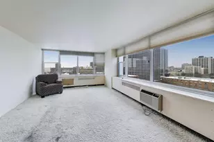 4250 N Marine Dr, Chicago, IL 60613 - Photo 4