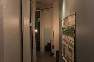 320 E 21st St, Chicago, IL 60616 - Photo 10