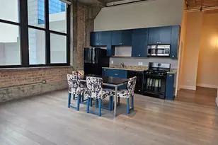 320 E 21st St, Chicago, IL 60616 - Photo 8