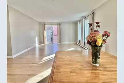 1104 N Mill Street #205, Naperville, IL 60563 - Photo 8