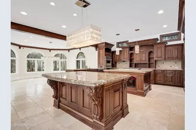 14 Ambriance Drive, Burr Ridge, IL 60527 - Photo 14