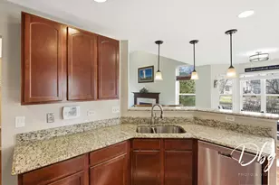 1007 Park Ave, Lake Villa, IL 60046 - Photo 10