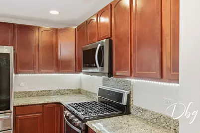 1007 Park Avenue, Lake Villa, IL 60046 - Photo 14