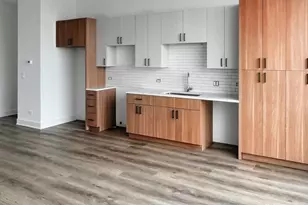 1304 S Ashland Ave, Chicago, IL 60608 - Photo 4