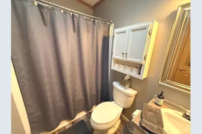 333 Lilac Lane, Matteson, IL 60443 - Photo 10