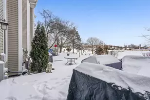 546 W Bridge View Ct, Palatine, IL 60067 - Photo 24