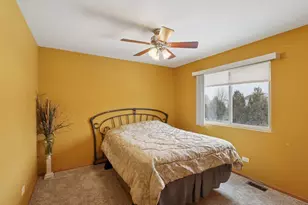 6120 Smokey Ridge Dr, Plainfield, IL 60586 - Photo 12