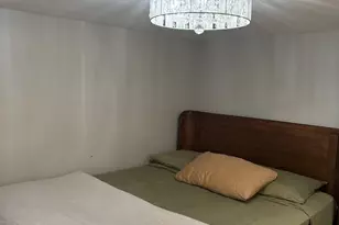 6541 S Ingleside Ave, Chicago, IL 60637 - Photo 10