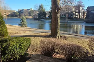 913 Casey Ct, Schaumburg, IL 60173 - Photo 2