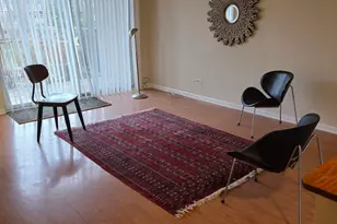 913 Casey Ct, Schaumburg, IL 60173 - Photo 6