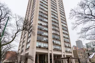 70 W Burton Pl, Chicago, IL 60610 - Photo 1