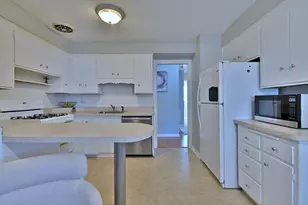 815 S Lincoln Ave, Park Ridge, IL 60068 - Photo 6