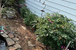 10639 S Kedzie Ave, Chicago, IL 60655 - Photo 30