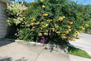 7742 Kolmar Ave, Skokie, IL 60076 - Photo 48