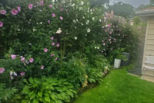 7742 Kolmar Ave, Skokie, IL 60076 - Photo 44