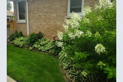 7742 Kolmar Avenue, Skokie, IL 60076 - Photo 50