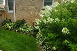 7742 Kolmar Ave, Skokie, IL 60076 - Photo 50