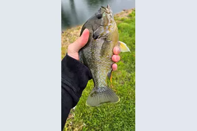 3197 S Baileyville Road, Freeport, IL 61032 - Photo 18