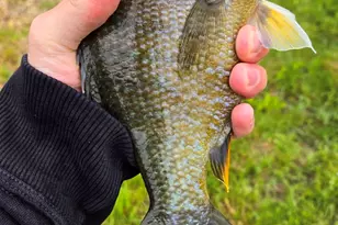 3197 S Baileyville Rd, Freeport, IL 61032 - Photo 18