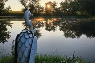 3197 S Baileyville Rd, Freeport, IL 61032 - Photo 20