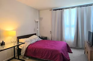 1160 S Michigan Ave, Chicago, IL 60605 - Photo 10