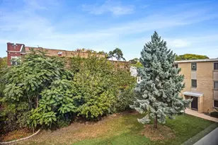 7019 N Ridge Blvd, Chicago, IL 60645 - Photo 10