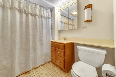 8129 S Sacramento Avenue, Chicago, IL 60652 - Photo 18