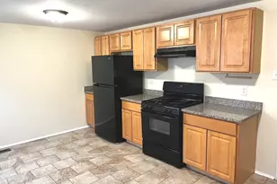 335 E Mulberry Dr, Glenwood, IL 60425 - Photo 4