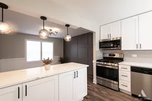 10100 S Luella Ave, Chicago, IL 60617 - Photo 22