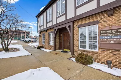 50 Ela Street, Barrington, IL 60010 - Photo 2