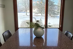 17362 Brook Hill Dr, Orland Park, IL 60467 - Photo 14