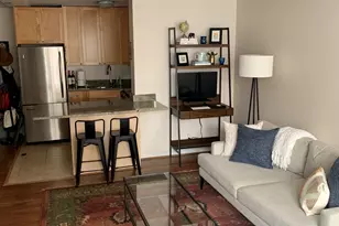 21 W Goethe St, Chicago, IL 60610 - Photo 6