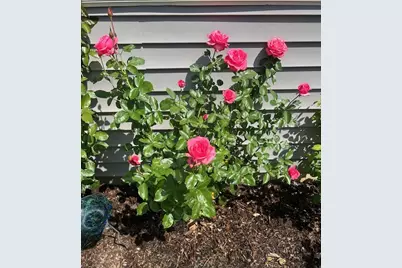 320 Sussex Lane, North Aurora, IL 60542 - Photo 24