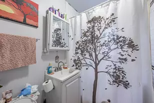 513 N Park St, Westmont, IL 60559 - Photo 12