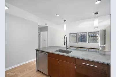30 E Elm Street #14E, Chicago, IL 60611 - Photo 12