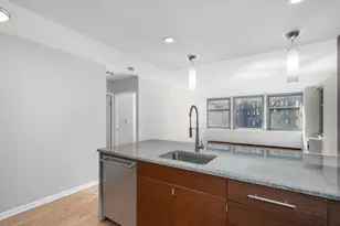 30 E Elm St, Chicago, IL 60611 - Photo 12