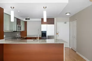 30 E Elm St, Chicago, IL 60611 - Photo 8